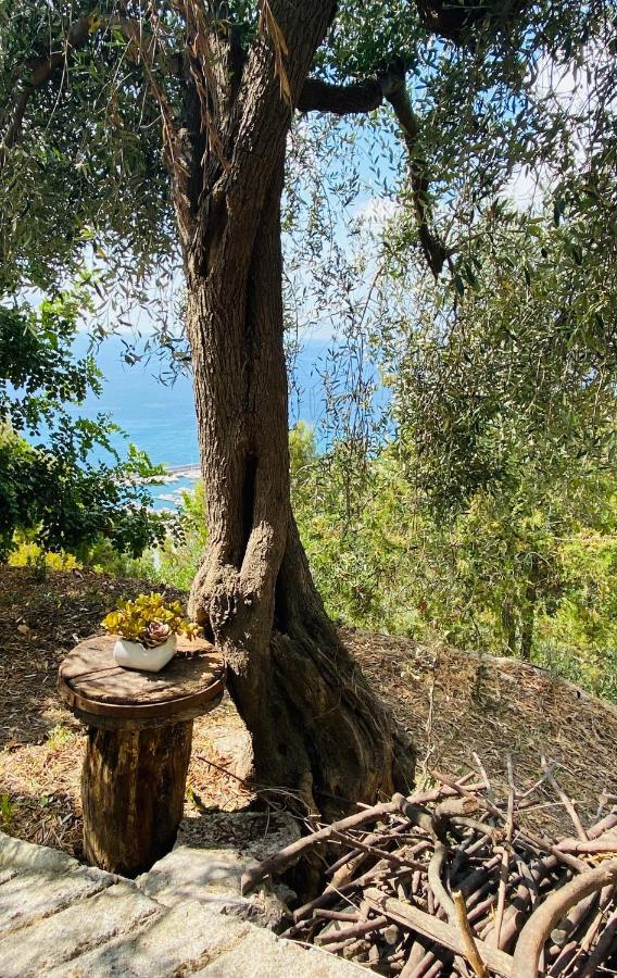 “Da Senso” Relax Nel Verde Vista Mare Finale Ligure Eksteriør bilde